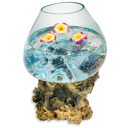 Makasi Root With Glass Bowl Extra Extra Large