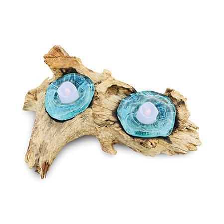 Makasi Root With Glass Candle Holder Double