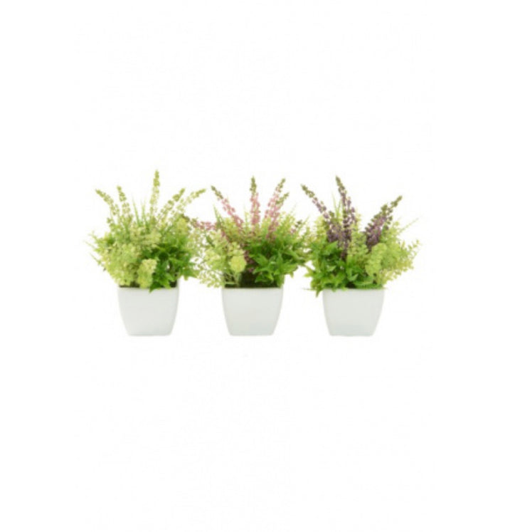 Floralsilk Erica/Geranium Pot